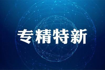 2024年“專精特新”小巨人企業(yè)認定流程、條件及全國獎補政策匯總